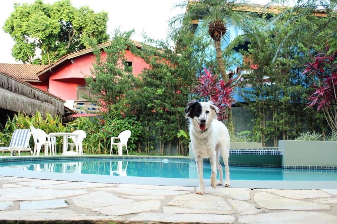 Pousada North Shore Maresias - 2 Quadras Da Praia - Casas De 2 Quartos - 80 M2 -2 Banheiros -Piscina Sauna - Estacion-Churrasq Privativa -Wifi Animais De Peq Porte Roupa De Cama E Banho エクステリア 写真